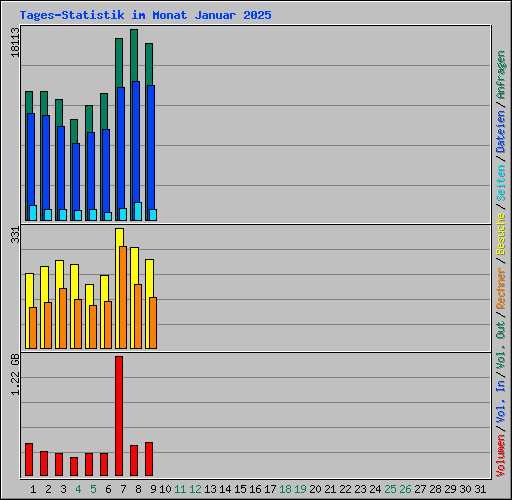 Tages-Statistik im Monat Januar 2025