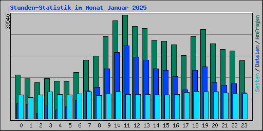Stunden-Statistik im Monat Januar 2025