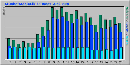 Stunden-Statistik im Monat Juni 2025