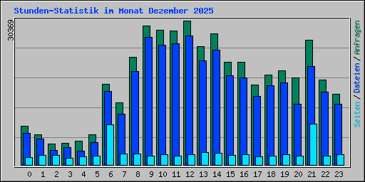 Stunden-Statistik im Monat Dezember 2025
