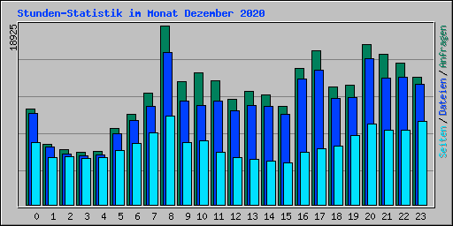 Stunden-Statistik im Monat Dezember 2020