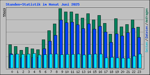 Stunden-Statistik im Monat Juni 2025