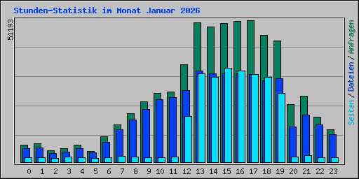 Stunden-Statistik im Monat Januar 2026