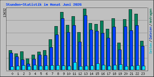 Stunden-Statistik im Monat Juni 2026